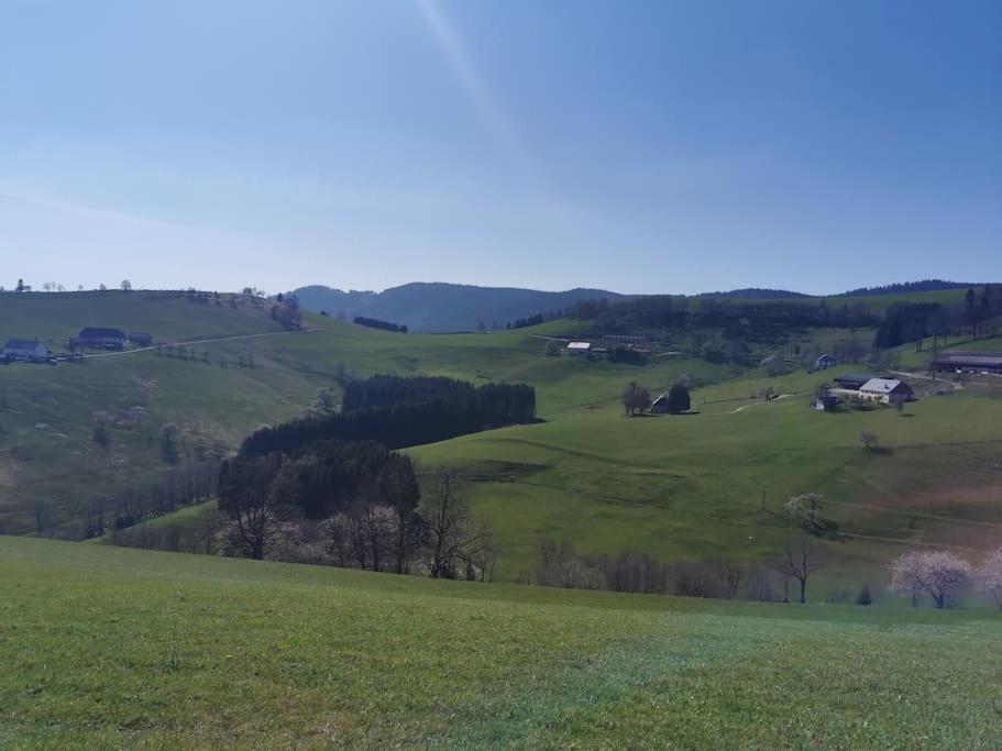 La Magie Entre Deux Lacs Gérardmer Exterior foto